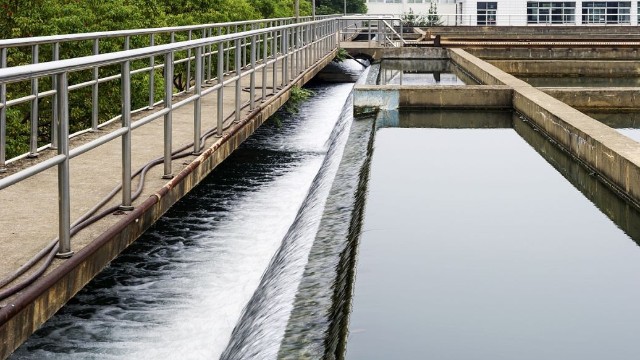屠宰場污水泡沫的危害及處理辦法